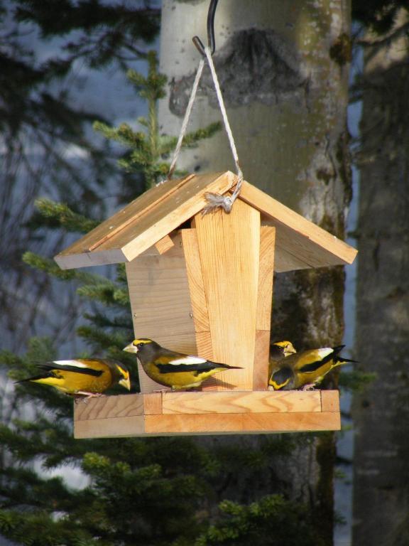 Silvern Lake Trail Bed And Breakfast Smithers Buitenkant foto
